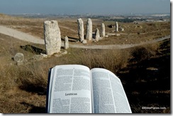 Gezer standing stones with Leviticus, tb091405094ddd